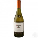 Вино Casillero del Diablo Chardonnay Reserva белое полусухое 0.75 л 13.5% (7804320256900)